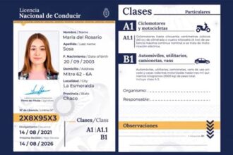 Cómo gestionar la renovación online del carnet de conducir