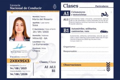 Cómo gestionar la renovación online del carnet de conducir