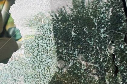 – IMAGEN ILUSTRATIVA-