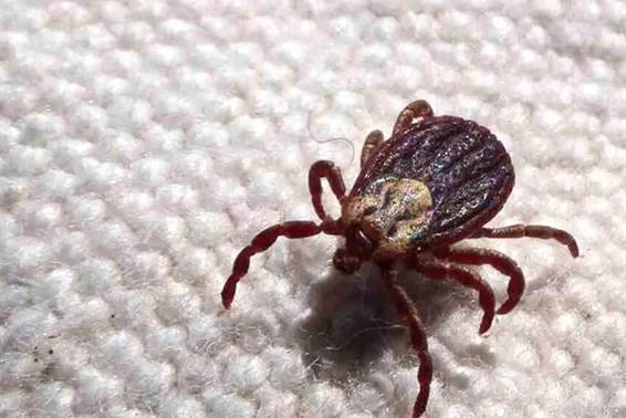 Imagen ilustrativa. Foto: Motivar.