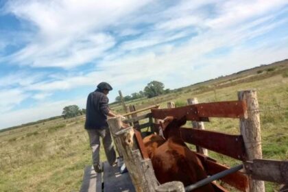 El costo de la dosis aplicada quedó en 2.650 pesos.