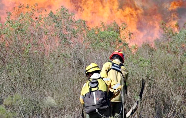 ENTRE RÍOS ENVÍA A CHUBUT BRIGADISTAS DEL PLAN PROVINCIAL DEL MANEJO DEL FUEGO